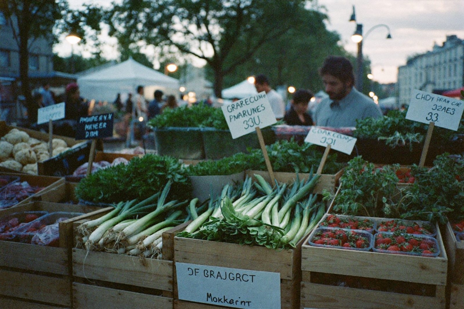 Cagettes de légumes au marché à l'aube